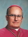Bishop Raymond Goedert, Vicar General